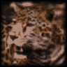 BigPEmu logo