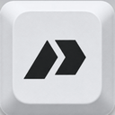 PlayAny logo