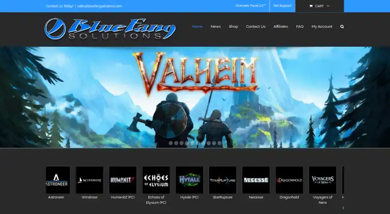 Blue Fang Solutions home page