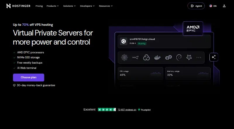 Hostinger VPS home page