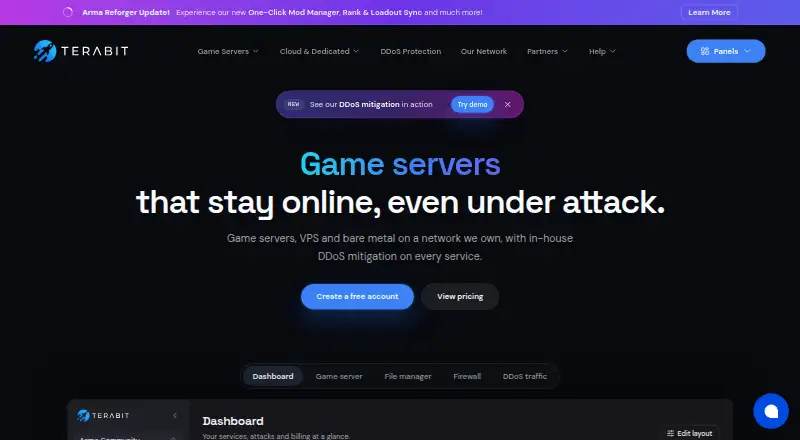 Terabit VPS home page