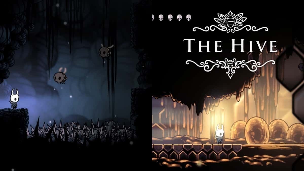 The Hive location in Hollow Knight.