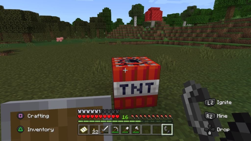 The player holding the flint and steel tool and is about to prime a block of TNT in a grassy field by setting it on fire.