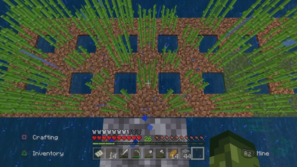 High angle view of the player looking down at their sugar cane farm. The farm is a grid of dirt with water holes every other block with sugar cane growing around all of these holes.