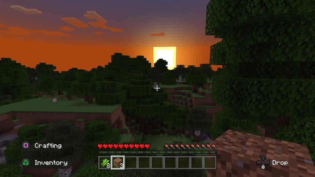 The sun rising over the treetops of a forest biome and making the sky orange.