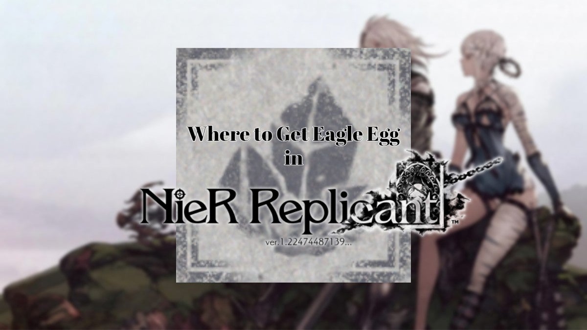 Where to Get Eagle Egg in Nier Replicant.