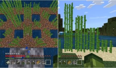 Minecraft: How to Grow Sugar Cane