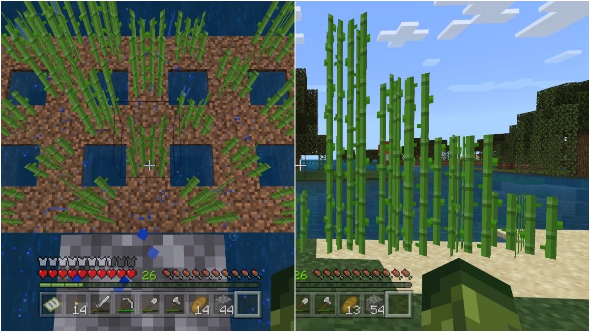 On the left, the player is looking down at a sugar cane farm from above and on the right is a patch of sand by some water with growing sugar cane at various heights.
