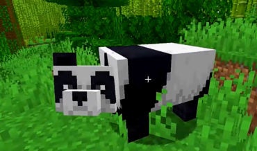 How to Breed Pandas in Minecraft