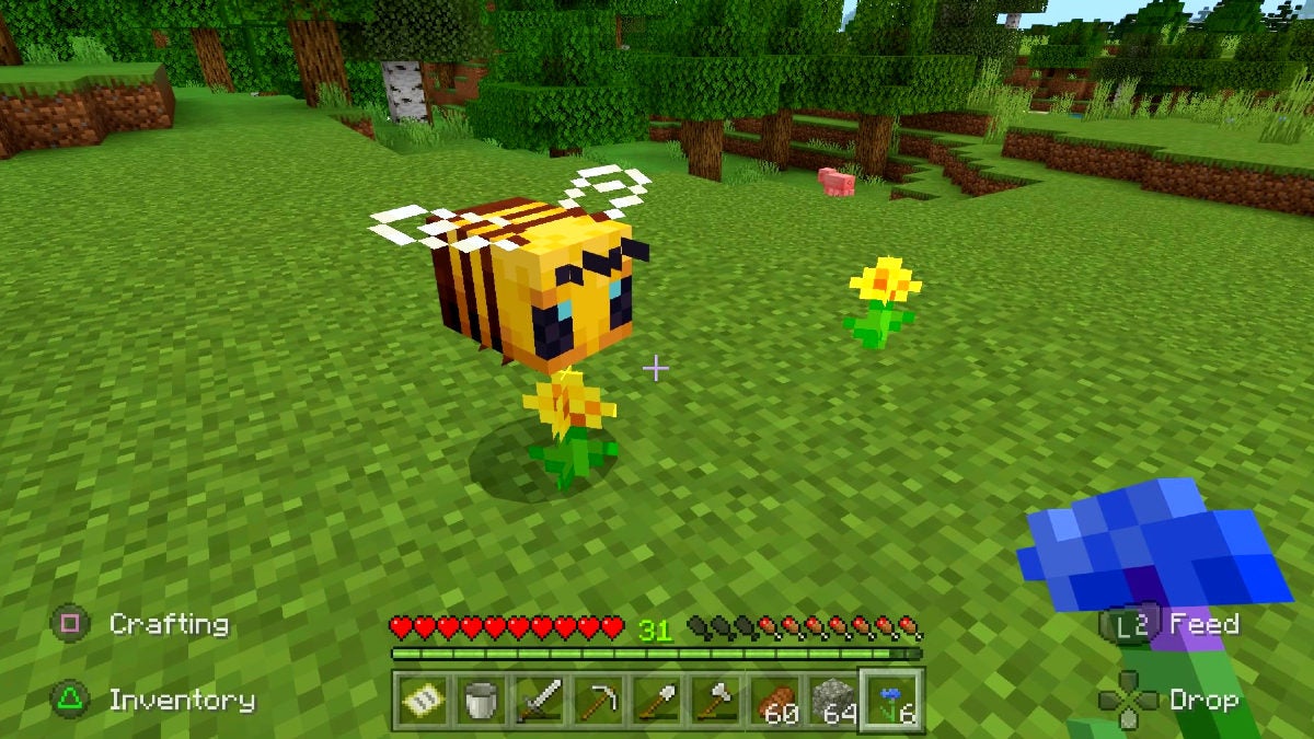 How to Get Honeycomb in Minecraft