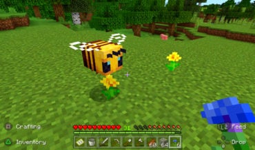 How to Get Honeycomb in Minecraft