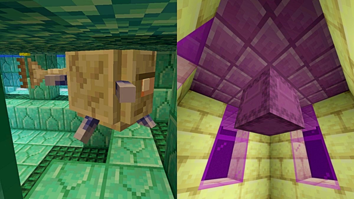 The left image is an elder guardian in an ocean monument and the right image is a shulker in an end city.