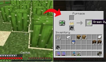 How to Make Green Dye in Minecraft