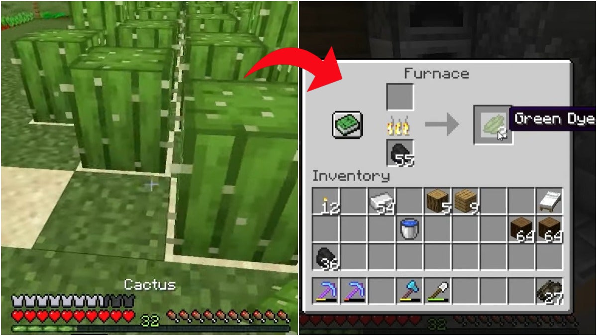 Left image is a farm of cactuses and on the right a furnace menu showing the player making green dye. There is a red arrow pointing from the left image to the right image.