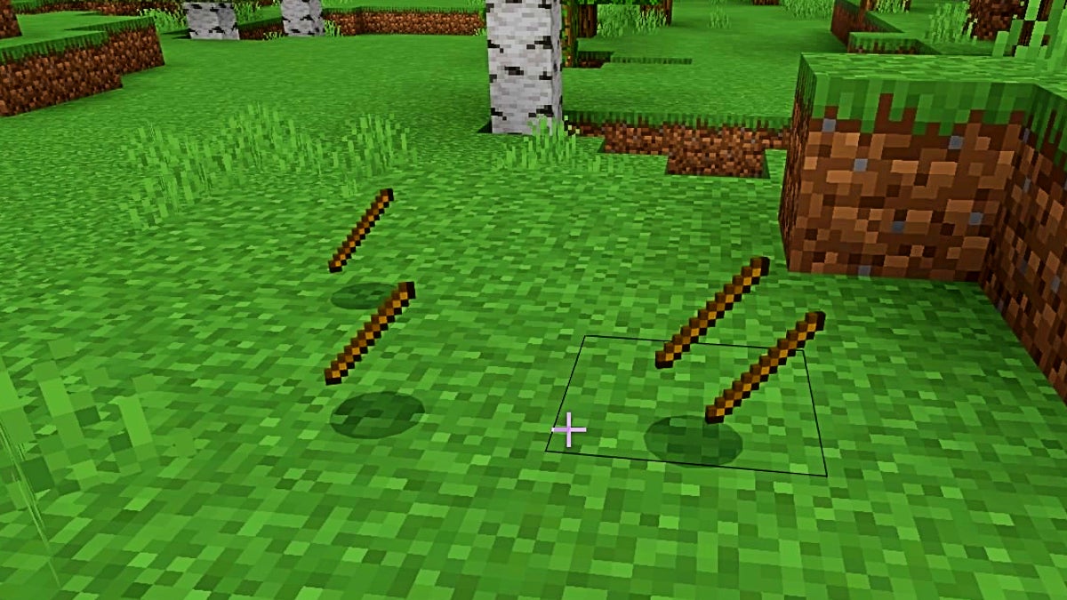 There are 4 sticks on the ground in front of the player.