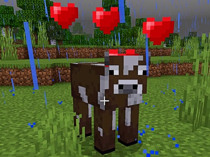 A brown and white cow with red hearts above their head.