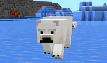 What Do Polar Bears Eat in Minecraft?