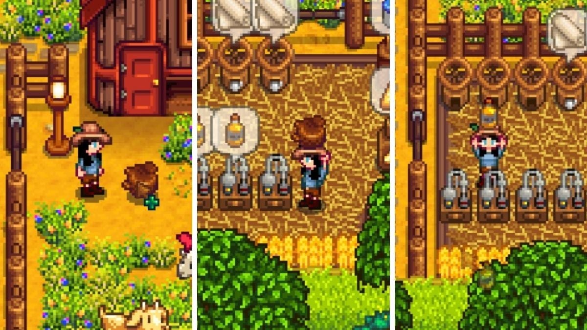 How to Make Truffle Oil in Stardew Valley.