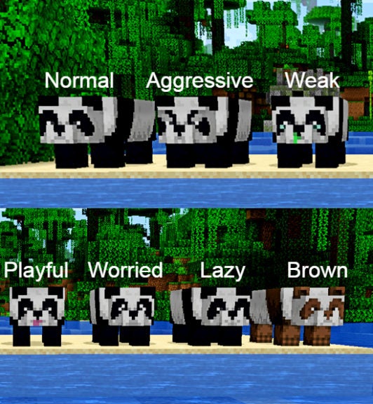 All 7 types of pandas standing on a beach. There are 2 images; the top has 3 black and white pandas and the bottom has 4 pandas.