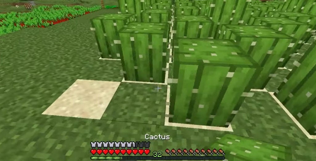 A few 1-block-high cactuses planted next to each other on blocks of sand.