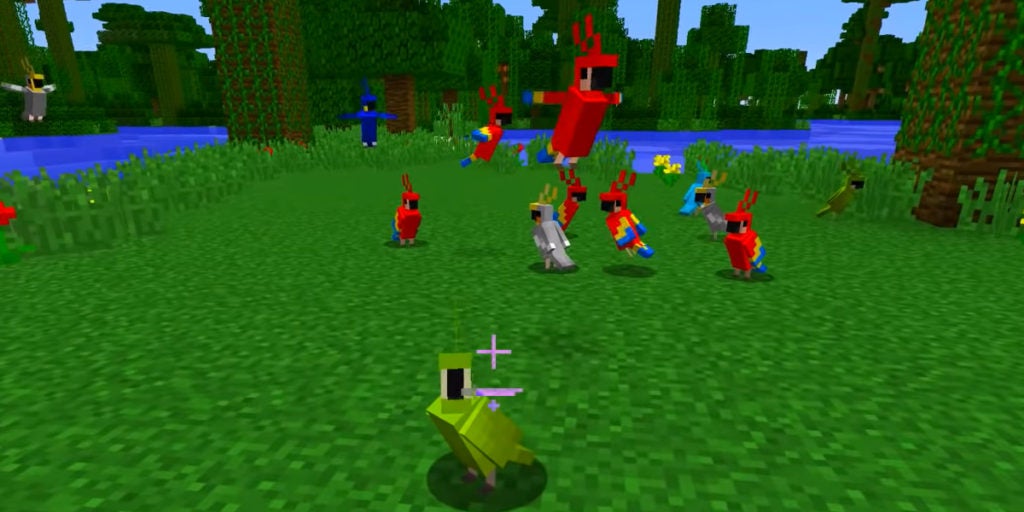 A grassy patch of a jungle biome with many parrots of different colors.