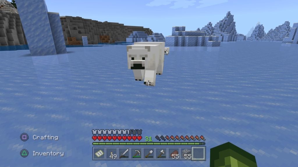 An adult polar bear approaching the player aggressively.