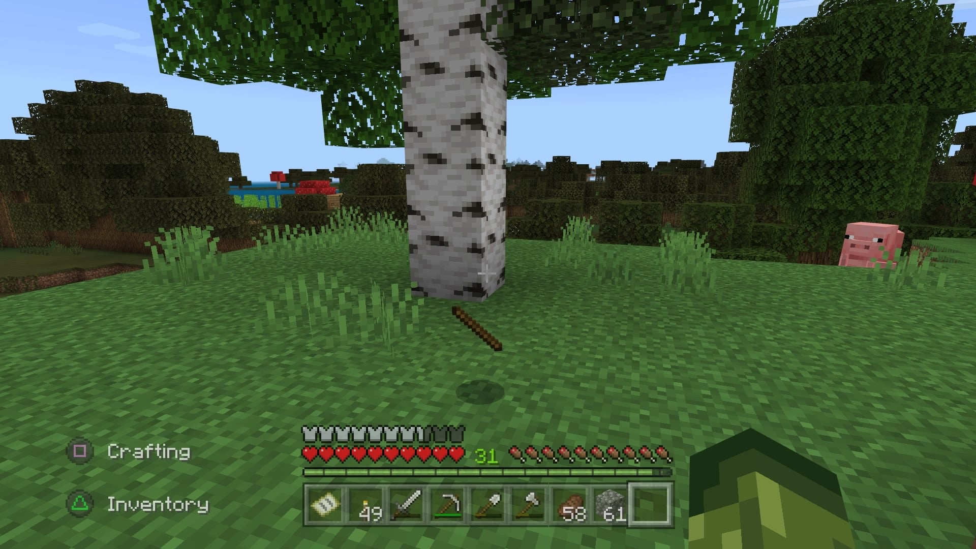 A stick on the grassy ground in front of a white and black birch tree in Minecraft.