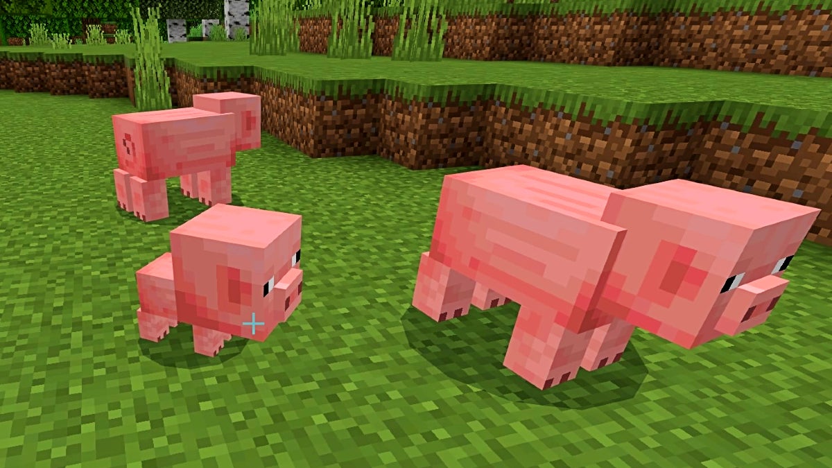 There are 2 adult pigs and 1 baby pig in a field.