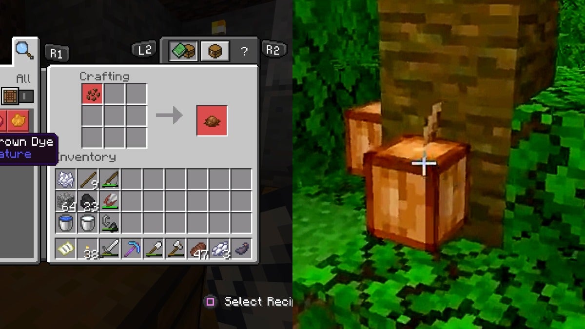 The left image is the player being unable to make brown dye because they don't have cocoa beans and the right image is a close up of a cocoa pod on a jungle tree.