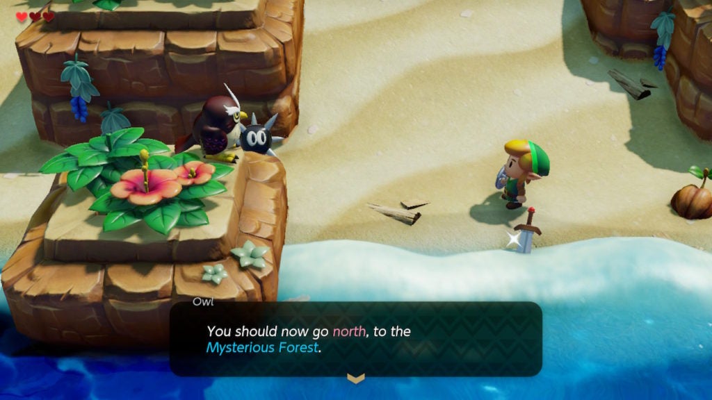 The wise Owl giving the player a hint to go to the mysterious forest.