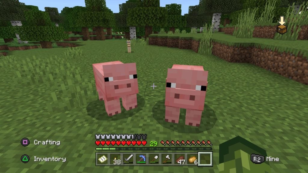 Two pigs staring at the player in a field.
