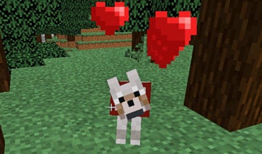 What Do Wolves Eat in Minecraft?