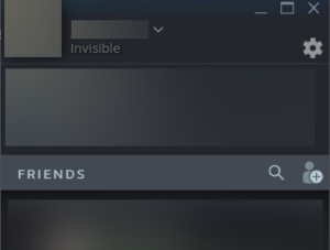 The Steam Friend page with the user being "Invisible" and thus appearing offline.