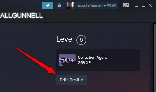 Click Edit Profile on Steam.