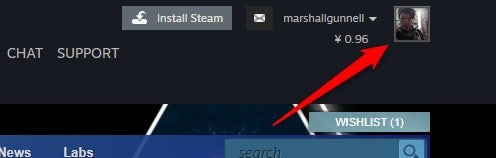 Click your profile image in the Steam website.