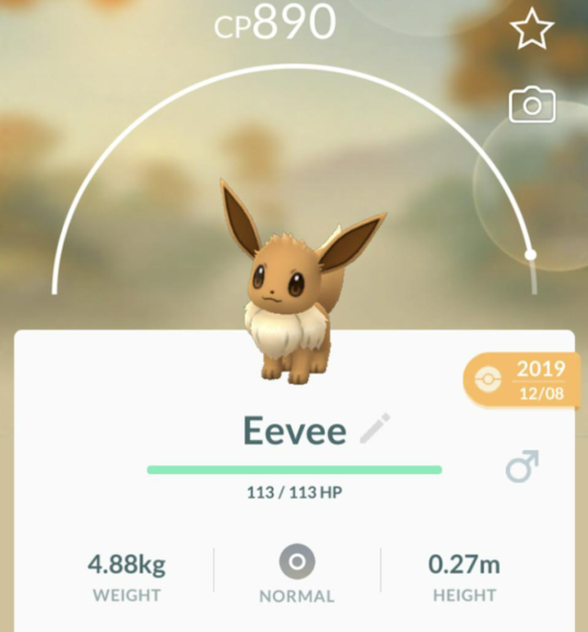Eevee from Pokemon GO