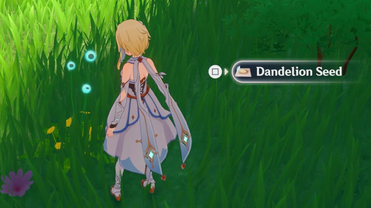 Genshin Impact where to find dandelion seeds