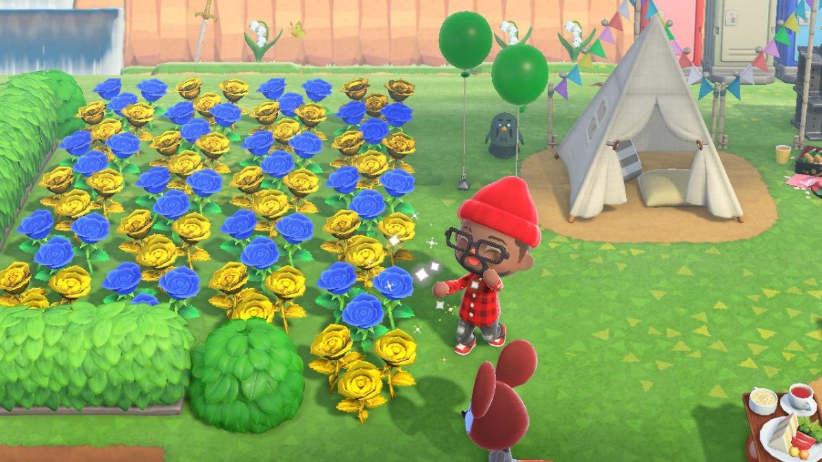 Gold and blue roses in Animal Crossing.