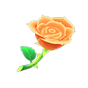 an Orange Rose