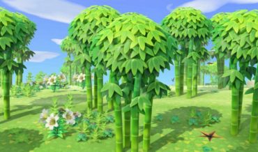 Animal Crossing New Horizons: How to Get Bamboo