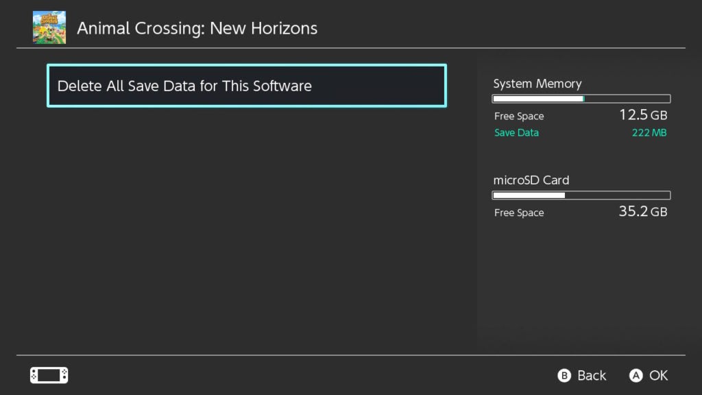 Nintendo Switch data management screen.