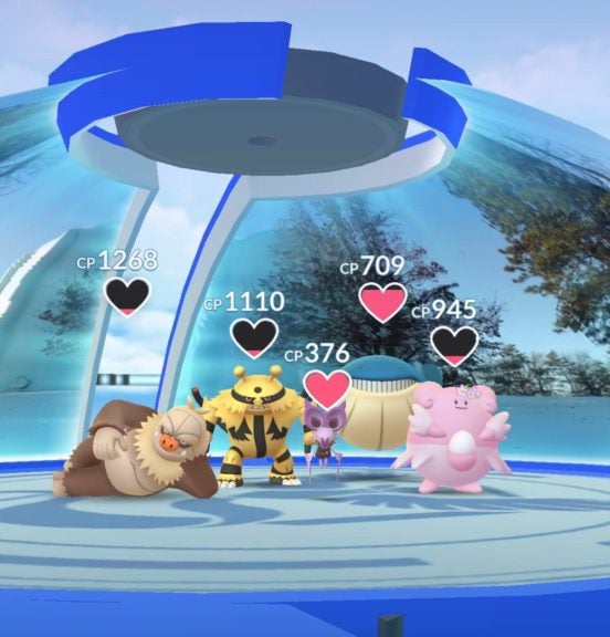 Group of Pokémon in a gym.