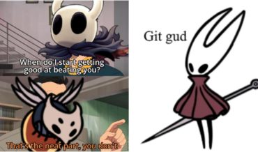 The 15 Best Hollow Knight Memes