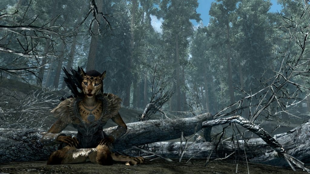 Character in Skyrim sitting on ground in front of fallen tree.