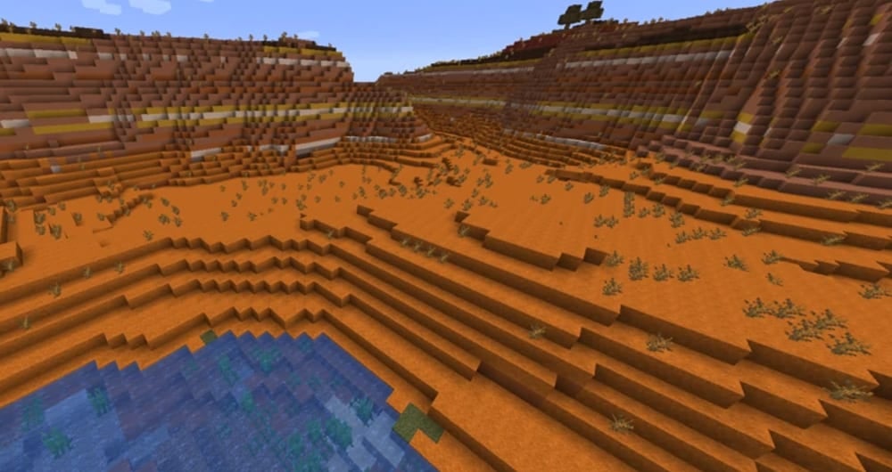 A biome with a lot of red sand.
