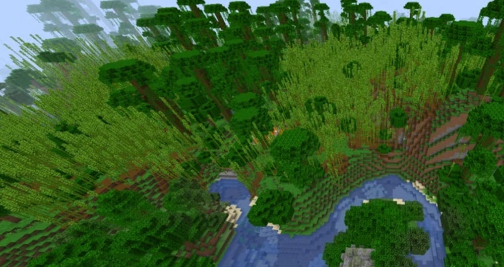 A jungle with lots of tall jungle trees and shoots of bamboo.