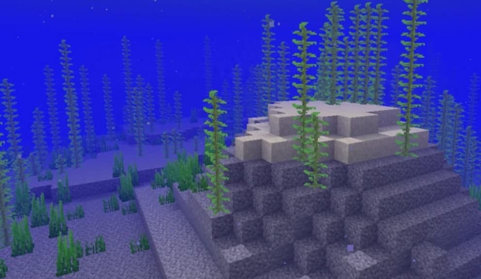 A cold variant of ocean biomes with sand and gravel among kelp.