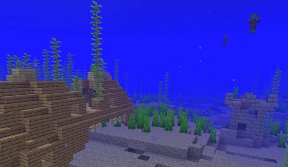 Deep variant of cold oceans that have a shipwreck and some drowned mobs in view.