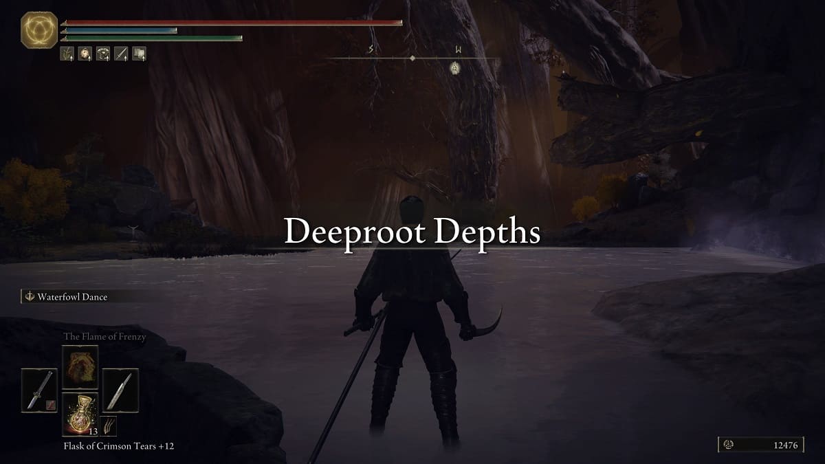 The Deeproot Depths from Elden Ring.
