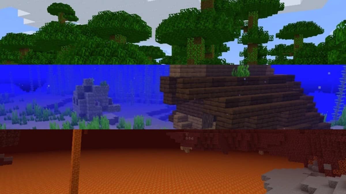 The top image is the tree line of a jungle biome, the middle image is an underwater view of an ocean biome, and the bottom image is a lava lake in a nether wastes biome.